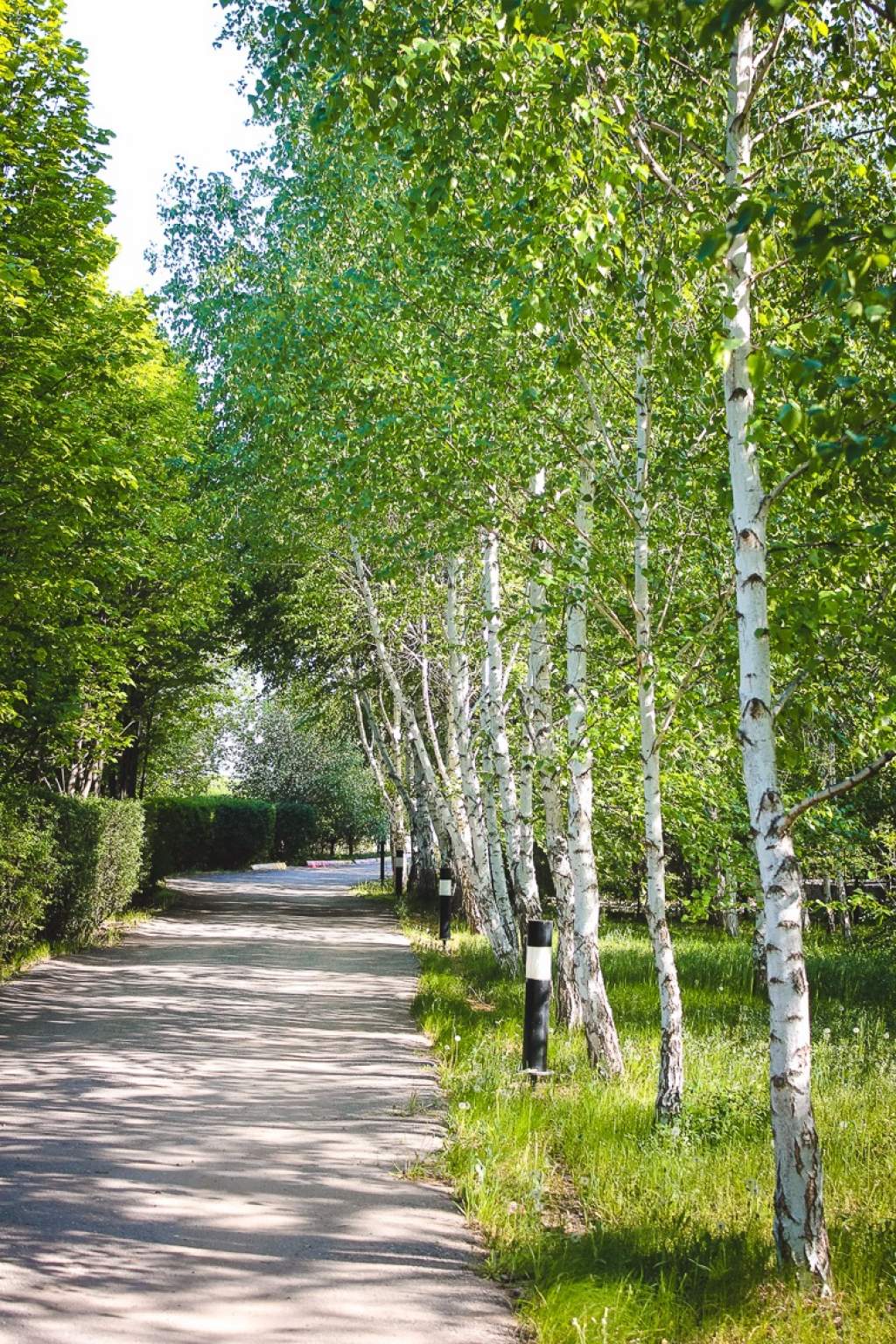 Аренда коммерческой недвижимости в г. Астрахань, село Растопуловка,  Прибрежная улица, д.8 - объявление 101110 | ShopAndMall.ru