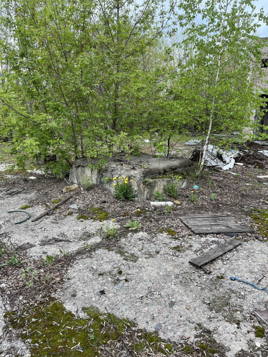 Аренда коммерческой недвижимости в г. Жуковский, Наркомвод улица, д.10 -  объявление 109085 | ShopAndMall.ru